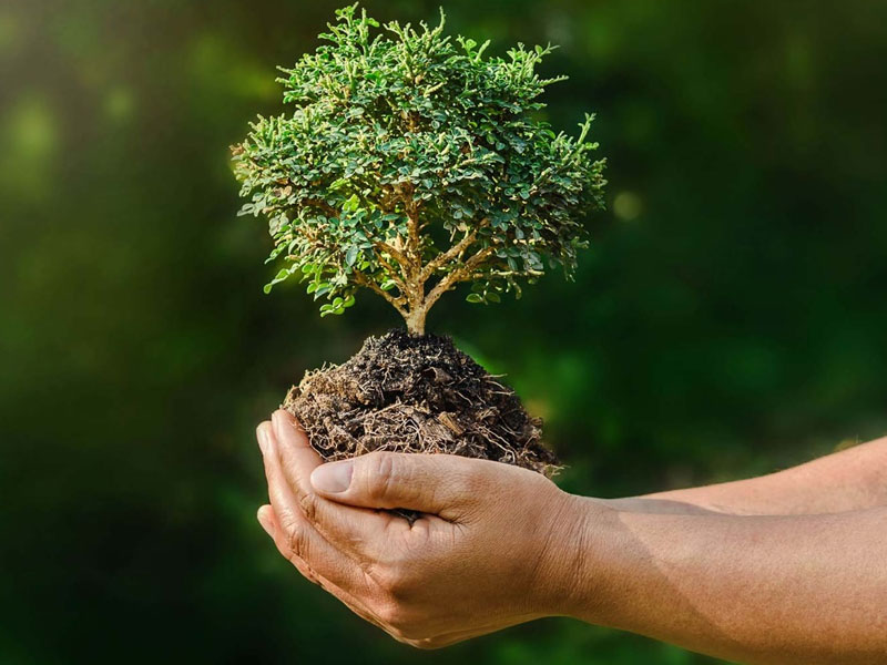 Bufete de abogados especializados en derecho ambiental | Bioiuris